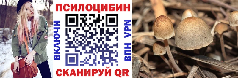 мега   Усть-Кут  Псилоцибиновые грибы MAGIC MUSHROOMS 